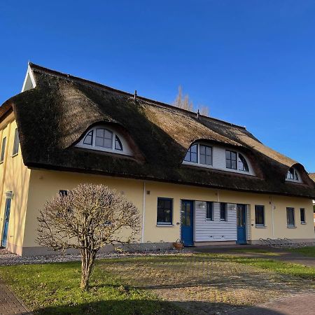 Reetdachhaus Holunder 2 Βίλα Puddemin Εξωτερικό φωτογραφία